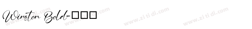 Winston Bold字体转换